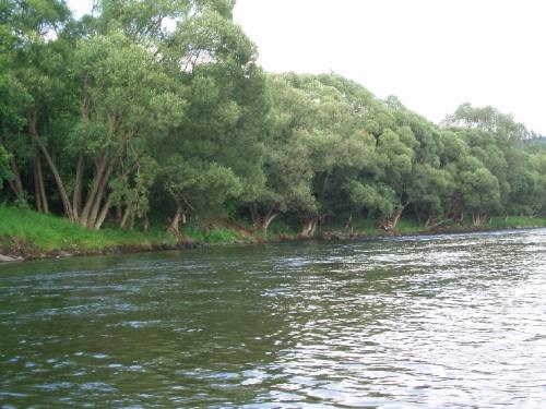 Rybačka na rieke Poprad